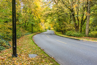 Fall foliage along the road through washington park arboretum in seattle, washington.
