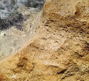 Close-up of water on rock