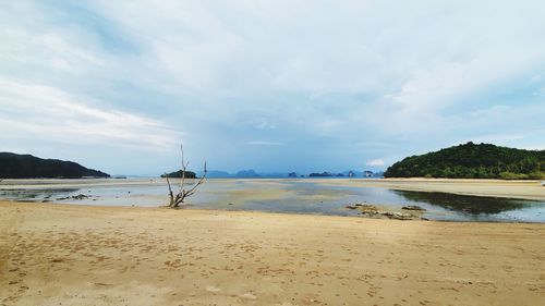 Scenic view of beach against sky