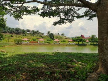 Scenic view of landscape against sky