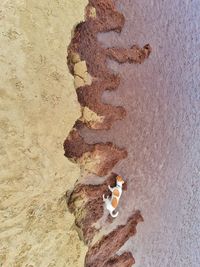 High angle view of sand at beach