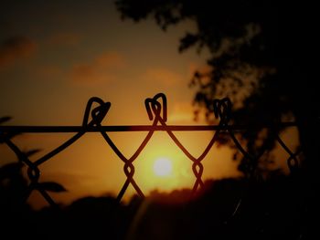Garden fence in the light of the sunset 