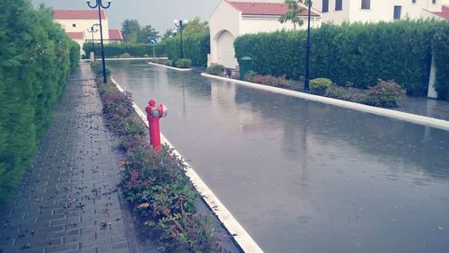 Wet footpath in park