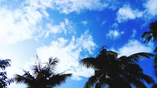 Low angle view of silhouette palm trees against blue sky