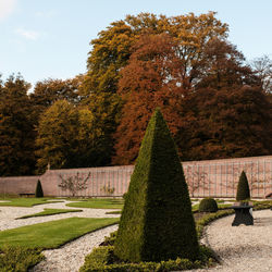 Trees in cemetery against sky during autumn
