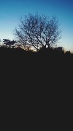 Silhouette of bare trees against sky