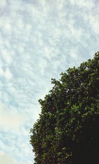 Low angle view of trees against cloudy sky