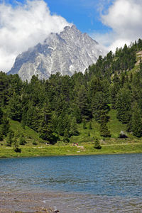 Scenic view of lake by trees against sky