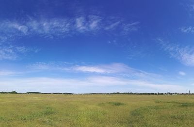 Scenic view of field against blue sky