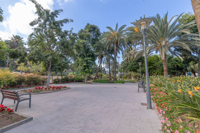Footpath by palm trees in park against sky