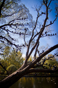 Scenic view of calm lake against sky