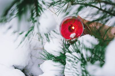 Cropped hand of woman holding lit tea light candle amidst snow covered branches