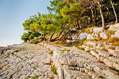 Detail of rock surface washed by the sea for ages. coast line of losinj island, croatia.