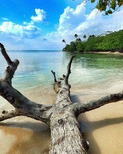 Scenic view of sea against cloudy sky