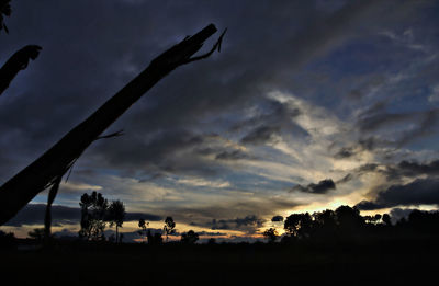 Silhouette trees against sky during sunset