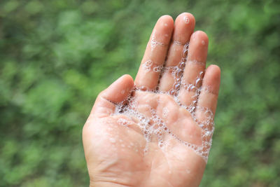 Close-up of person hand holding wet leaf