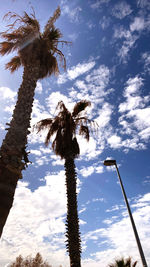 Low angle view of coconut palm tree against sky