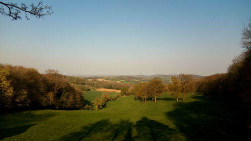 Scenic view of landscape against clear sky