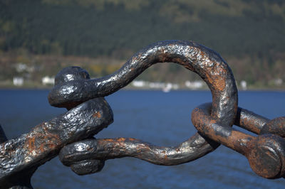 Close-up of rusty chain