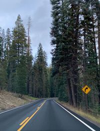 Road amidst trees in forest against sky