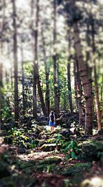 Rear view of woman in forest