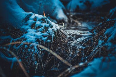 Close-up of frozen ice