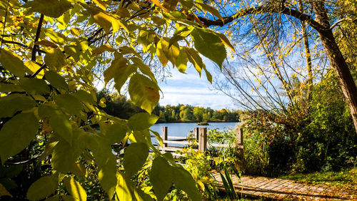 Scenic view of lake by trees against sky