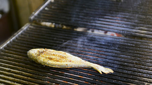 Close-up of fish on barbecue grill