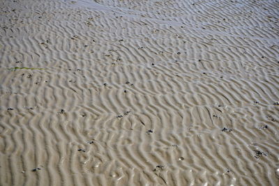 Full frame shot of rippled water