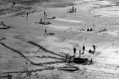 High angle view of people at beach