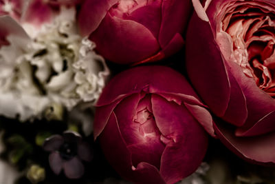 Close-up of rose bouquet