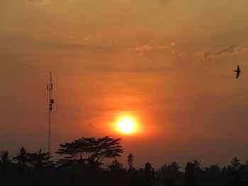 Silhouette trees against orange sky during sunset