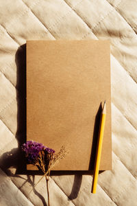 Directly above shot of purple flowers with books and pencil on sofa