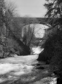 Bare trees by river against sky