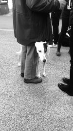 Low section of people with dog standing on street