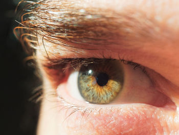 Close-up of human eye