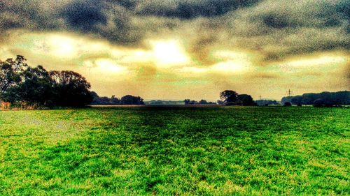 Scenic view of grassy field against sky