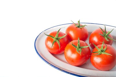Close-up of tomatoes in plate against white background