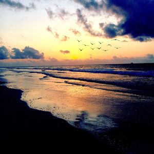 Scenic view of sea during sunset