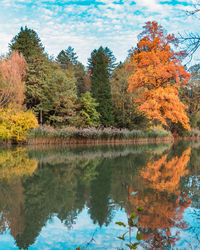 Scenic view of lake by trees during autumn