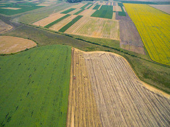 Scenic view of agricultural field