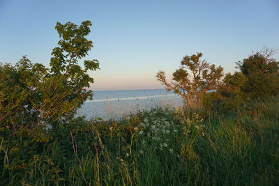 Scenic view of sea against clear sky