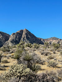 Scenic view of arid landscape against clear blue sky