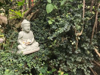 Statue of buddha over plants