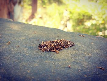 Surface level of white surface