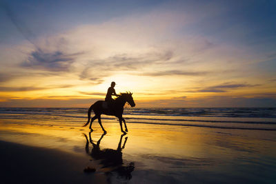 Silhouette person riding horse on beach