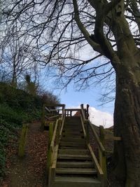 Low angle view of steps amidst bare trees against sky