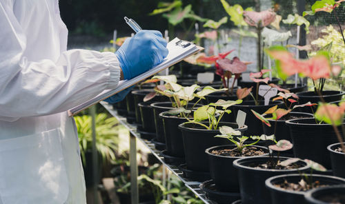 Midsection of woman holding plant