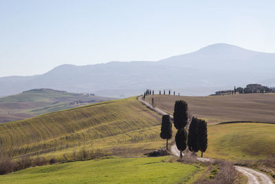 Scenic view of agricultural field against sky