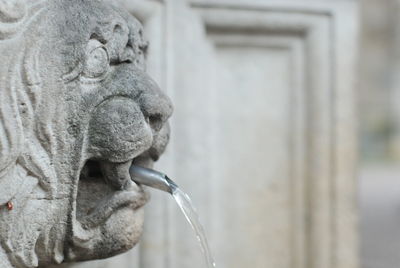 Close-up of statue against blurred background